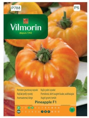 Przejdź do produktu Pomidor gruntowy wysoki ananasowy Pineapple F1 0,1 g