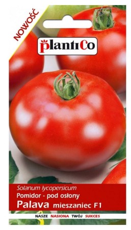 pomidor-pod-oslony-palava-0,1g-plantico.JPG