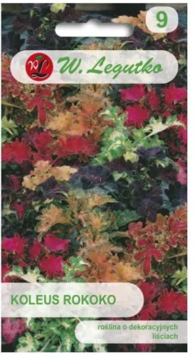 Przejdź do produktu Koleus blumego Rokoko pokrzywka 0,02g