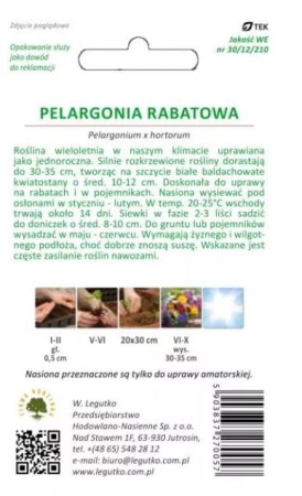 pelargonia-rabatowa-biala-legutko.JPG