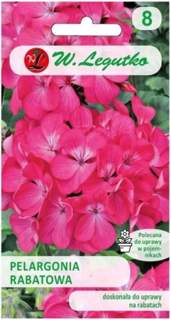 pelargonia-rabatowa-rozowa-gama-f1.JPG