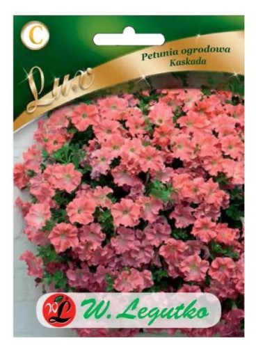 Przejdź do produktu Petunia zwisająca łososiowa Kaskada 0,02g nasiona Legutko