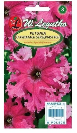 petunia-strzepiasta-rozowa-legutko.JPG