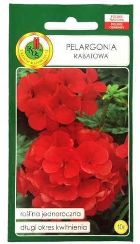 Przejdź do produktu Pelargonia rabatowa czerwona nasiona 10szt Pnos