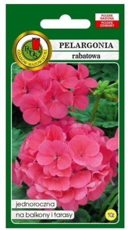 pelargonia-rozowa-rabatowa-nasiona-pnos.JPG