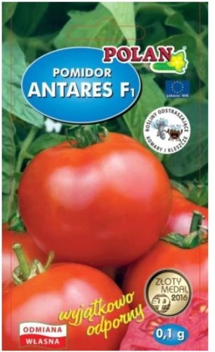 Przejdź do produktu Pomidor gruntowy wczesny Antares F1 0,1g nasiona