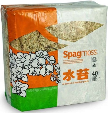 spagmoss-500-g.JPG