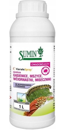 karate-1-l-rtu-gotowy-sumin.JPG
