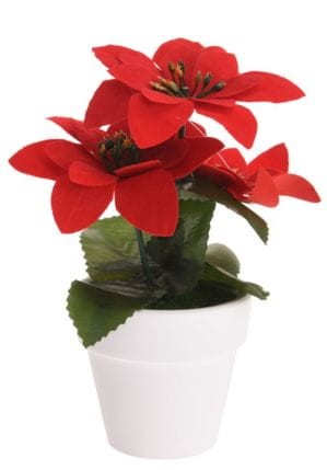 gwiazda-betlejemska-czerwona-sztuczna-16cm w-doniczce-725230.JPG