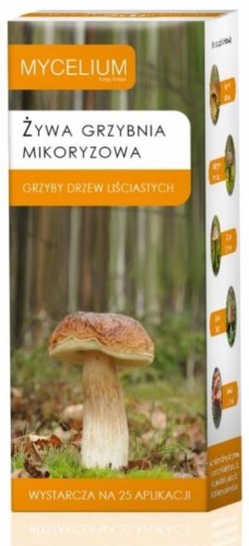 Przejdź do produktu Grzybnia grzybów borowik podgrzybek koźlak do drzew liściastych 250ml