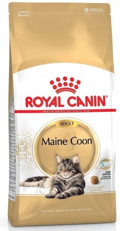 maine-coon.JPG