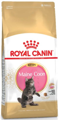 Przejdź do produktu Karma sucha dla kociąt kotów Maine Coon Kitten 400g Royal Canin