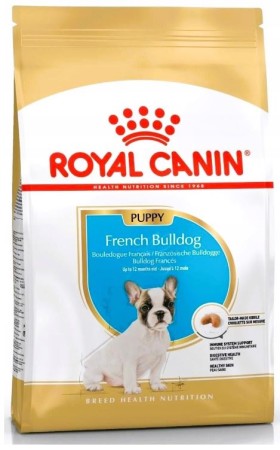 french-bulldog-puppy-3-kg.JPG