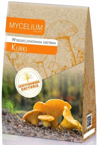Przejdź do produktu Grzybnia Żywa Grzyby Kurki 120ml