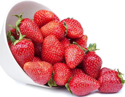 Przejdź do produktu Sadzonki truskawki powtarzającej ukorzenione w doniczkach 7cm 4szt Evie