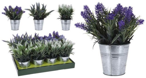 Przejdź do produktu Lawenda ozdobna 24 cm 6 wzorów 387971