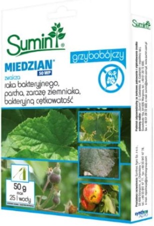 miedzian-50-g-sumin.JPG