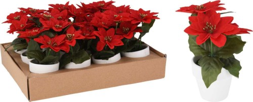 Przejdź do produktu Gwiazda betlejemska w osłonce 16 cm 224079