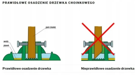 prawidlowe-osadzenie.JPG