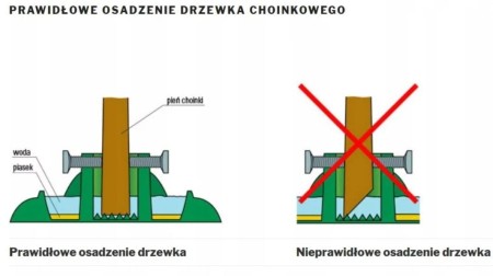 prawidlowe-osadzenie.JPG