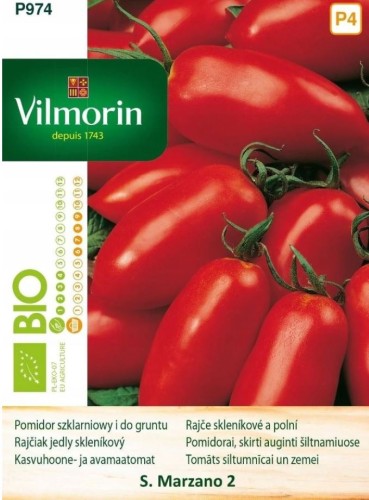 Przejdź do produktu Pomidor szklarniowy wysoki Marzano nasiona 0,5 g BIO Vilmorin