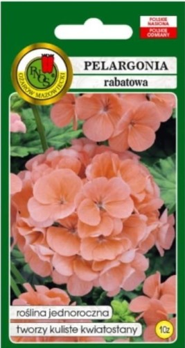 Przejdź do produktu Pelargonia rabatowa łososiowa Pnos 10 nasion