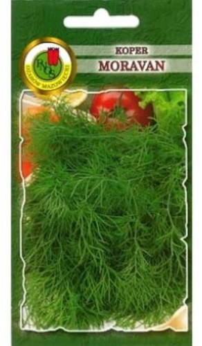 Przejdź do produktu Koper ogrodowy Moravan odmiana wczesna 500 g Pnos
