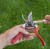 felco-905-1.JPG
