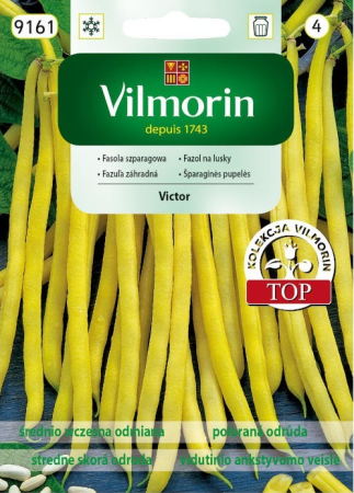 fasola-victor.PNG
