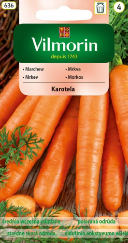 Przejdź do produktu Marchew Karotela śr. wczesna 5 g