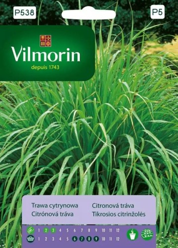 Przejdź do produktu Trawa cytrynowa nasiona Vilmorin 0,5g
