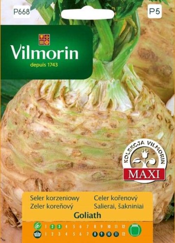 Przejdź do produktu Seler korzeniowy późny Goliath 0,5g nasiona Vilmorin