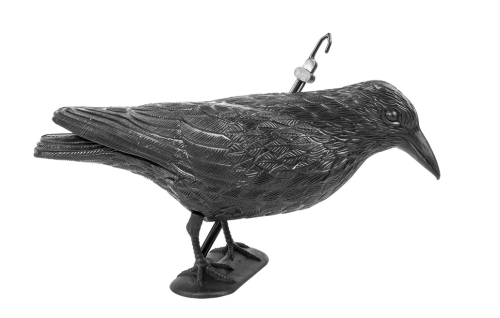 Przejdź do produktu Kruk siedzący odstraszacz ptaków naturalny rozmiar 731004 
