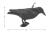 ebe.PNG