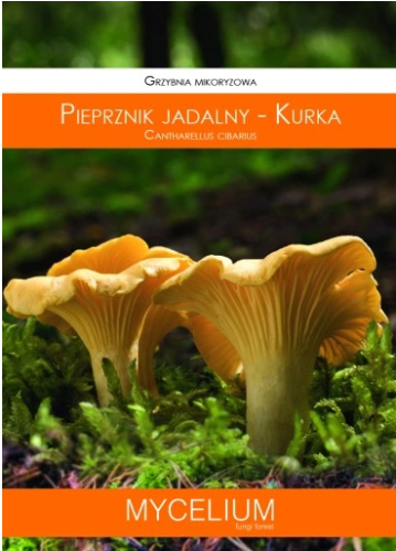Przejdź do produktu Grzybnia mikoryzowa kurka 60ml
