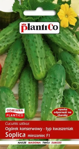 Przejdź do produktu Ogórek średnio wczesny Soplica 50 g Plantico