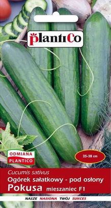 Przejdź do produktu Ogórek Pokusa pod osłony 1 g  25-28 cm Plantico