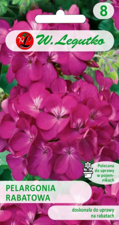 pelargonia-rabatowa-nasiona-legutko.PNG