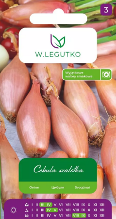 cebula-szalotka-zebrunia.PNG