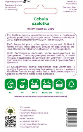 cebula-szalotka-nasiona.PNG
