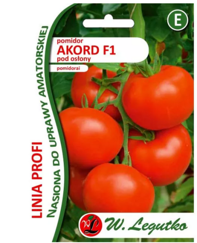Przejdź do produktu Pomidor  szklarniowy Akord F1 30 nasion Legutko