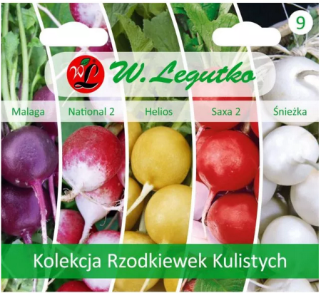 kolekcja-rzodkiew-kulistych-nasiona-legutko.PNG