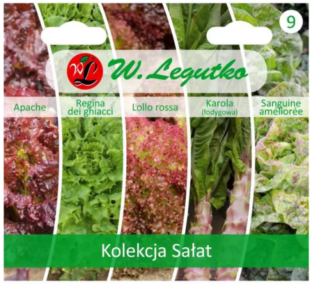 kolekcja-salat-nasiona-legutko.PNG