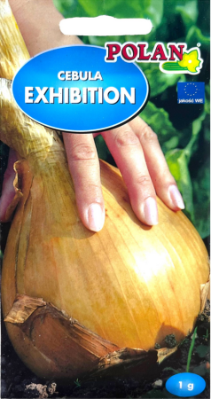 cebula-exhibition-polan.PNG