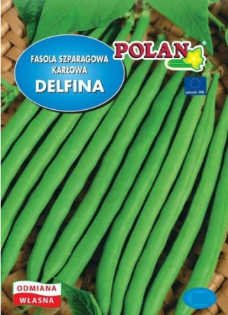 fasola-maxidor.PNG