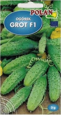 Przejdź do produktu Ogórek Grot F1 3g korniszon Polan