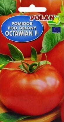 octawian.JPG