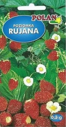 Przejdź do produktu Poziomka Rujana 0,3g zwisająca Polan 