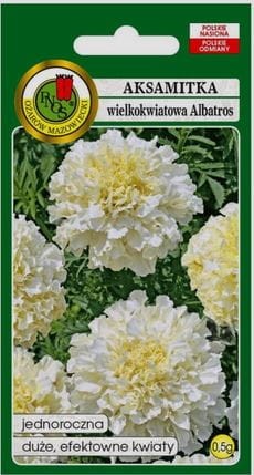 aksamitka-albatros.JPG