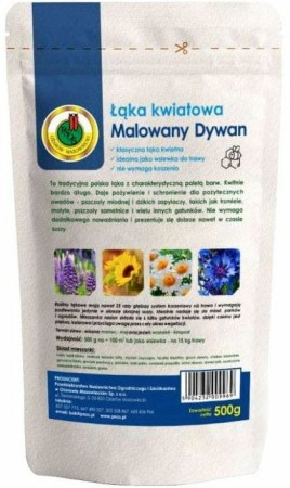malowany-dywan.JPG
